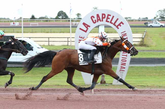 Photo d'arrivée de la course pmu PRIX FRANCOIS CAILLE à LA CAPELLE le Mercredi 3 septembre 2025