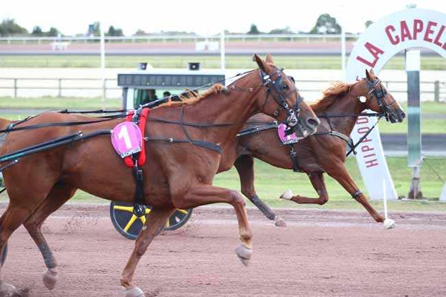 Photo d'arrivée de la course pmu PRIX DE «L'AISNE NOUVELLE» (PRIX DE LAON) à LA CAPELLE le Mercredi 3 septembre 2025