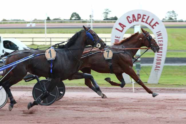 Photo d'arrivée de la course pmu PRIX DE LA COMMUNAUTE DE COMMUNES THIERACHE DU CENTRE (PRIX DE LA SAUR) à LA CAPELLE le Mercredi 3 septembre 2025
