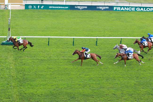 Photo d'arrivée de la course pmu PRIX DE CRAON à LONGCHAMP le Jeudi 4 septembre 2025
