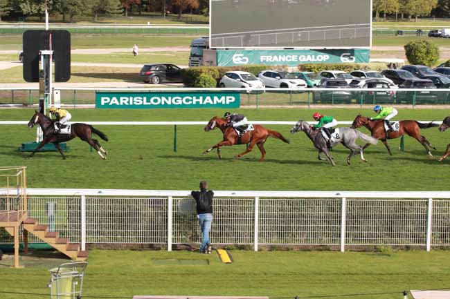 Photo d'arrivée de la course pmu PRIX DE L'ALLEE DES BROUILLARDS à LONGCHAMP le Jeudi 4 septembre 2025
