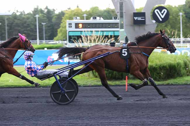 Photo d'arrivée de la course pmu PRIX BAPTISTINA à PARIS-VINCENNES le Vendredi 5 septembre 2025