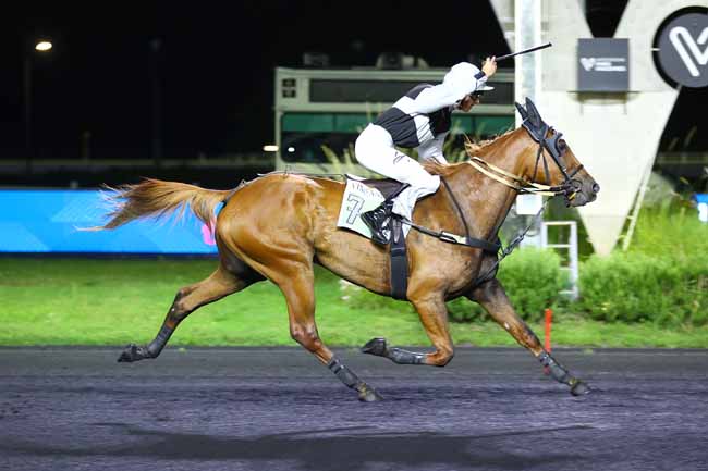 Photo d'arrivée de la course pmu PRIX CONCORDIA à PARIS-VINCENNES le Vendredi 5 septembre 2025