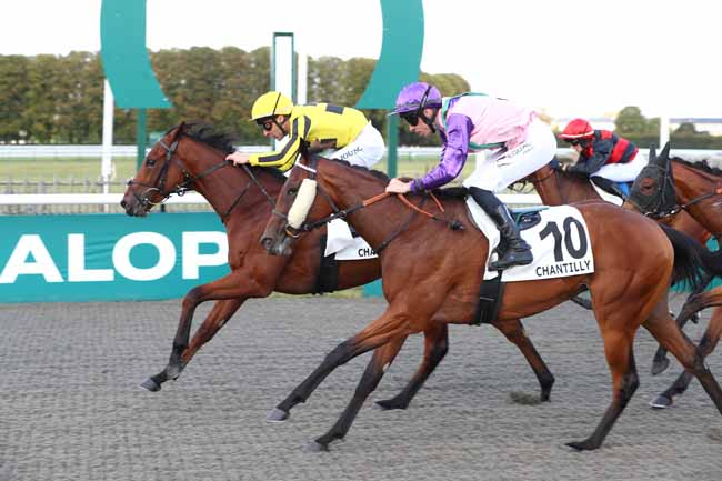 Photo d'arrivée de la course pmu PRIX DE CAUFFRY à CHANTILLY le Vendredi 5 septembre 2025