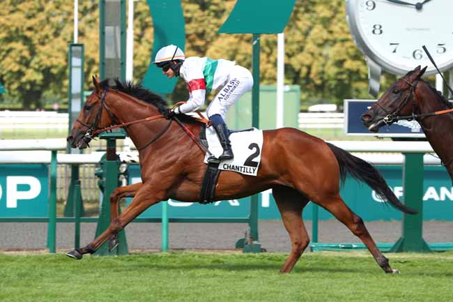 Photo d'arrivée de la course pmu PRIX DE LAMORLAYE à CHANTILLY le Vendredi 5 septembre 2025