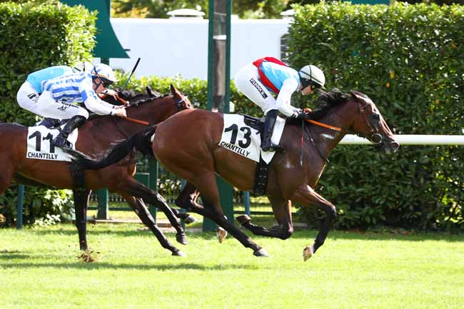 Photo d'arrivée de la course pmu L'EXPRESS à CHANTILLY le Vendredi 5 septembre 2025