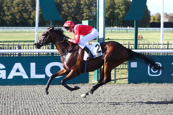 Photo d'arrivée de la course pmu PRIX DE LA CROIX DE L'OIGNON à CHANTILLY le Vendredi 5 septembre 2025