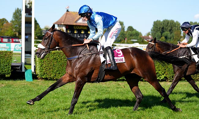Photo d'arrivée de la course pmu PRIX TURFONE COMPETITIONS QUOTIDIENNES (PRIX KAWAN) à CLAIREFONTAINE le Vendredi 5 septembre 2025