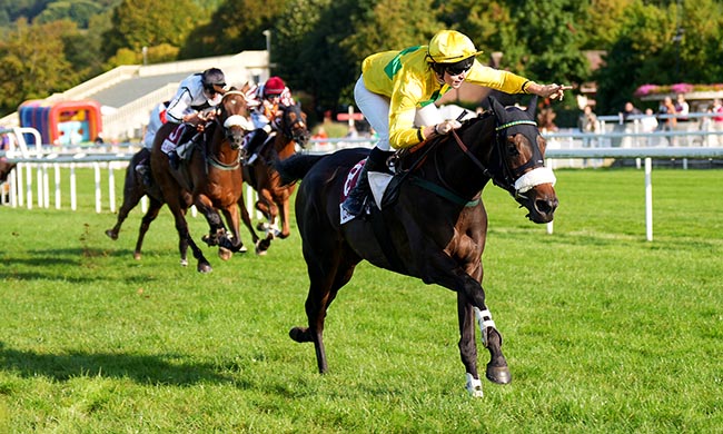 Photo d'arrivée de la course pmu PRIX FREE TO PLAY TURFONE (PRIX D'ANGLET) à CLAIREFONTAINE le Vendredi 5 septembre 2025