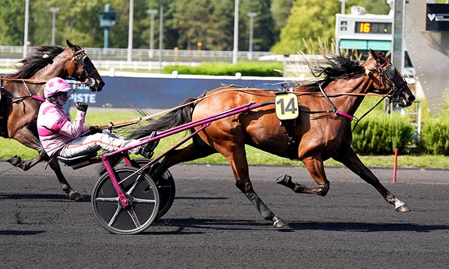 Arrivée quinté pmu PRIX DU MONT-SAINT-MICHEL à PARIS-VINCENNES