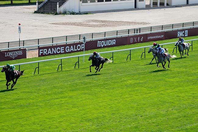 Photo d'arrivée de la course pmu QATAR CUP - PRIX DRAGON à LONGCHAMP le Dimanche 7 septembre 2025