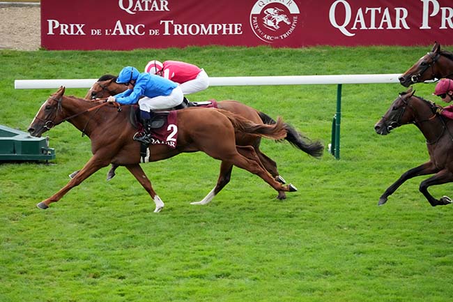 Photo d'arrivée de la course pmu QATAR PRIX NIEL à LONGCHAMP le Dimanche 7 septembre 2025