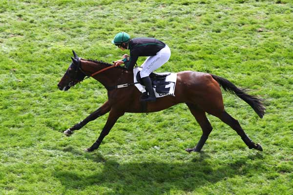 Photo d'arrivée de la course pmu PRIX LESIEUR (PRIX COURANT D'AIR) à CRAON le Lundi 8 septembre 2025