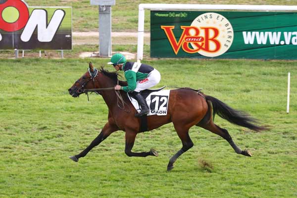 Photo d'arrivée de la course pmu PRIX PMU BAR DE L'ETOILE (PRIX GROUPE GENDRY - PRIX FANDANGO) à CRAON le Lundi 8 septembre 2025
