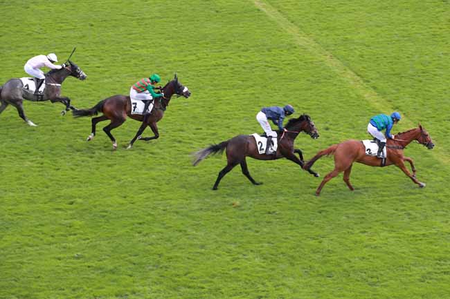 Photo d'arrivée de la course pmu PRIX DES PLATANES à AUTEUIL le Mardi 9 septembre 2025