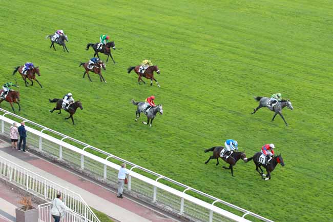 Photo d'arrivée de la course pmu PRIX MORTEMART à AUTEUIL le Mardi 9 septembre 2025