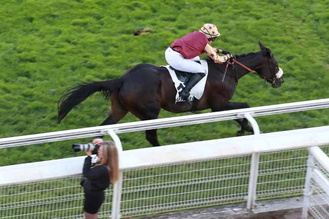 Photo d'arrivée de la course pmu PRIX DES FORTIFICATIONS à AUTEUIL le Mardi 9 septembre 2025