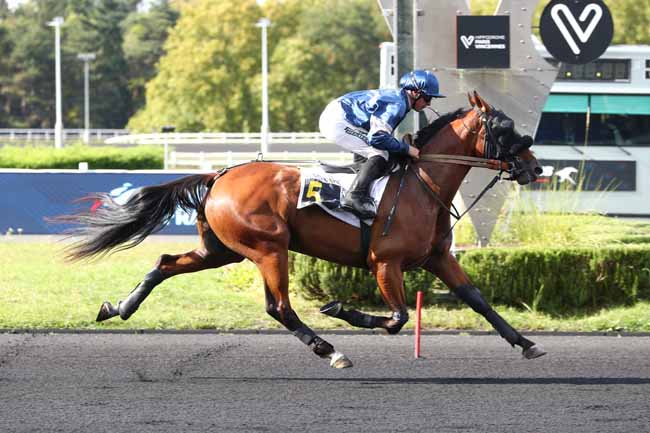 Photo d'arrivée de la course pmu PRIX MUSCA à PARIS-VINCENNES le Mardi 9 septembre 2025