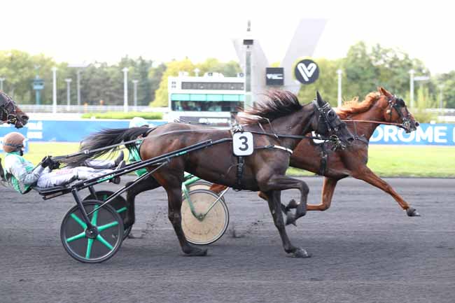 Photo d'arrivée de la course pmu PRIX ALKMENE à PARIS-VINCENNES le Mardi 9 septembre 2025