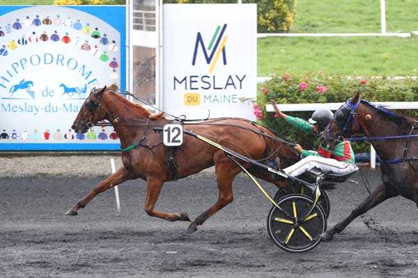 Photo d'arrivée de la course pmu PRIX DU DEPARTEMENT DE LA MAYENNE à MESLAY DU MAINE le Mercredi 10 septembre 2025