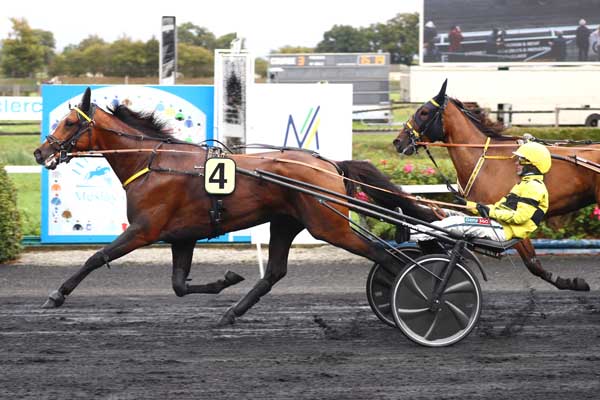 Photo d'arrivée de la course pmu PRIX LECLERC CHATEAU GONTIER à MESLAY DU MAINE le Mercredi 10 septembre 2025