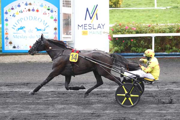 Photo d'arrivée de la course pmu PRIX FITECO à MESLAY DU MAINE le Mercredi 10 septembre 2025