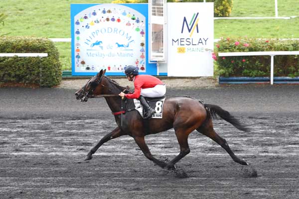 Photo d'arrivée de la course pmu PRIX DU CREDIT MUTUEL à MESLAY DU MAINE le Mercredi 10 septembre 2025