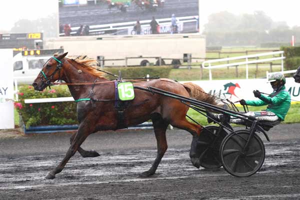 Photo d'arrivée de la course pmu PRIX COSNET INDUSTRIE à MESLAY DU MAINE le Mercredi 10 septembre 2025