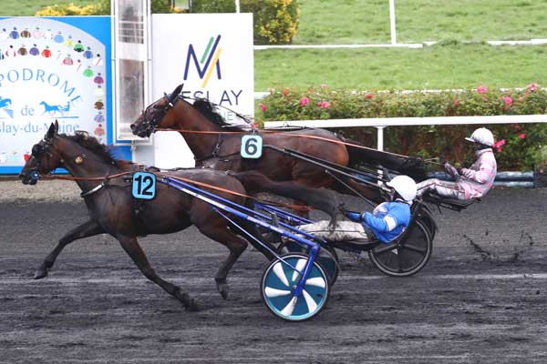Photo d'arrivée de la course pmu PRIX GROUPE ROMET à MESLAY DU MAINE le Mercredi 10 septembre 2025