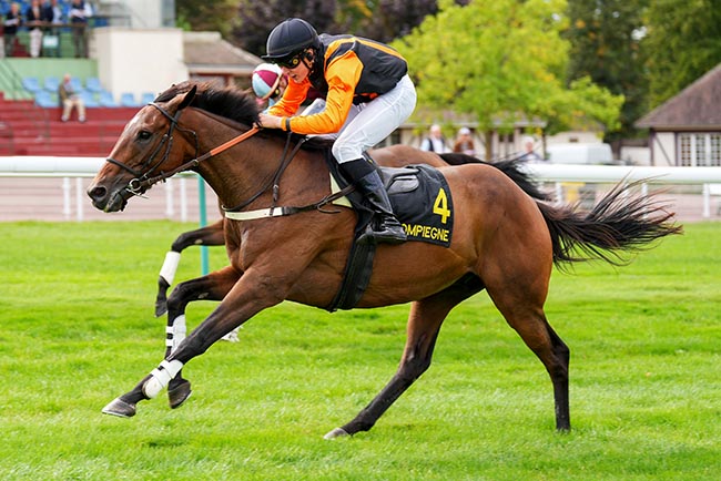Photo d'arrivée de la course pmu PRIX WORLD CITIZEN (CHMPT DES APPRENTIS & JEUNES JOCKEYS) à COMPIEGNE le Mercredi 10 septembre 2025