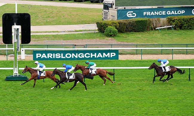 Photo d'arrivée de la course pmu PRIX LA ROCHETTE à LONGCHAMP le Jeudi 11 septembre 2025