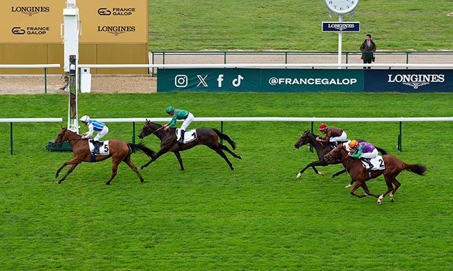 Photo d'arrivée de la course pmu PRIX D'AUMALE à LONGCHAMP le Jeudi 11 septembre 2025