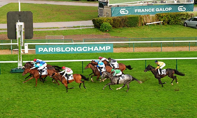 Photo d'arrivée de la course pmu PRIX DE LA GOUTTE D'OR à LONGCHAMP le Jeudi 11 septembre 2025