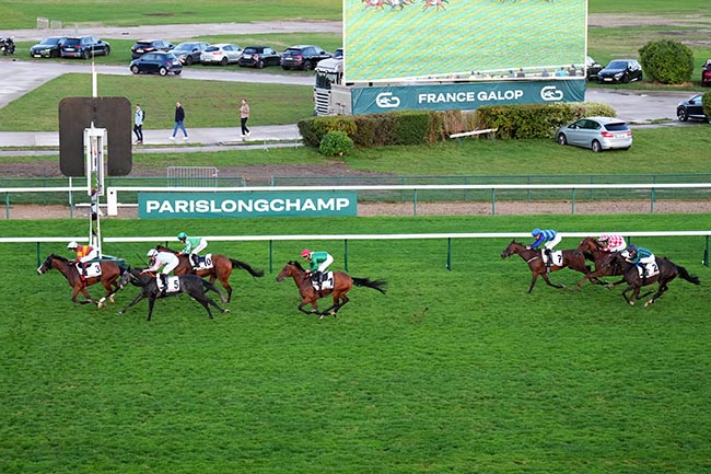 Photo d'arrivée de la course pmu PRIX DE CHARONNE à LONGCHAMP le Jeudi 11 septembre 2025