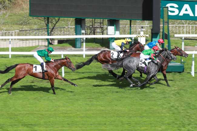 Photo d'arrivée de la course pmu PRIX TURENNE à SAINT CLOUD le Vendredi 12 septembre 2025