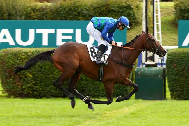 Photo d'arrivée de la course pmu PRIX UCELLO II à AUTEUIL le Samedi 13 septembre 2025