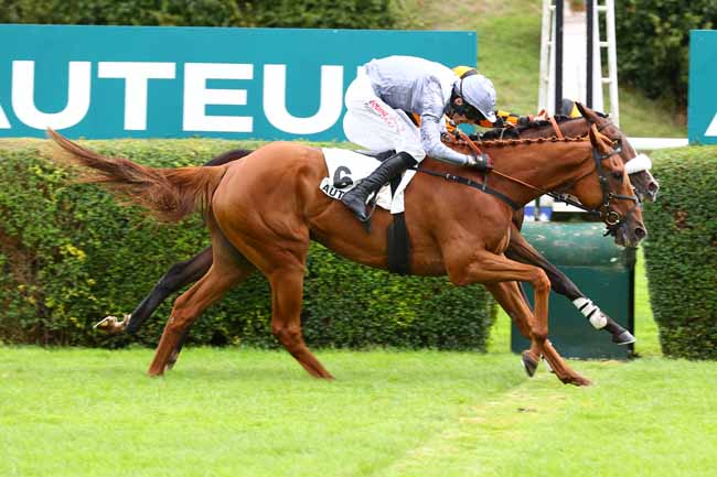 Photo d'arrivée de la course pmu PRIX JEAN NOIRET à AUTEUIL le Samedi 13 septembre 2025
