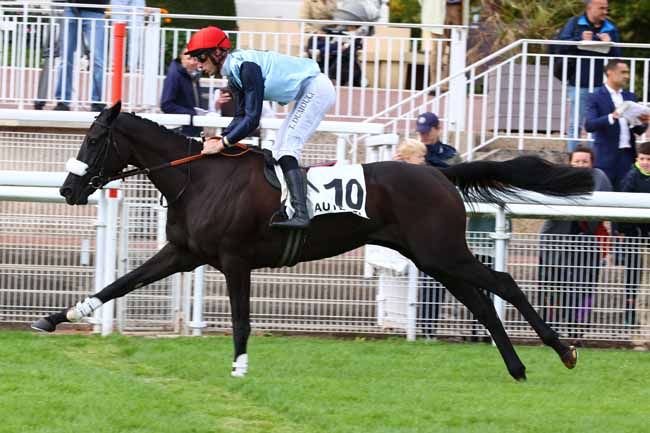 Photo d'arrivée de la course pmu PRIX FINOT (POULICHES) à AUTEUIL le Samedi 13 septembre 2025
