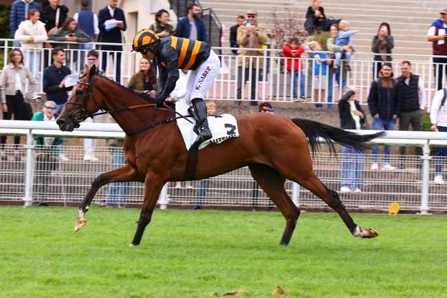Photo d'arrivée de la course pmu PRIX ACHILLE-FOULD à AUTEUIL le Samedi 13 septembre 2025