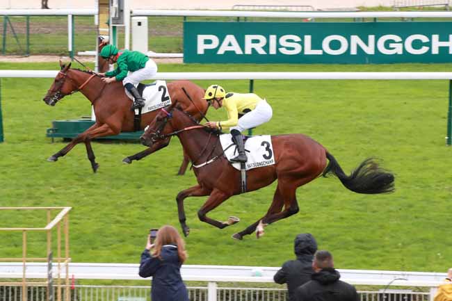 Photo d'arrivée de la course pmu PRIX DU PIN à LONGCHAMP le Dimanche 14 septembre 2025