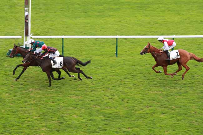 Photo d'arrivée de la course pmu PRIX ERNEST LEROY à LONGCHAMP le Dimanche 14 septembre 2025