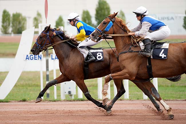 Photo d'arrivée de la course pmu PRIX DE BORDEAUX à AGEN LE PASSAGE le Lundi 15 septembre 2025