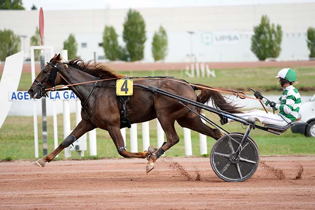 Photo d'arrivée de la course pmu PRIX DE TOULOUSE à AGEN LE PASSAGE le Lundi 15 septembre 2025