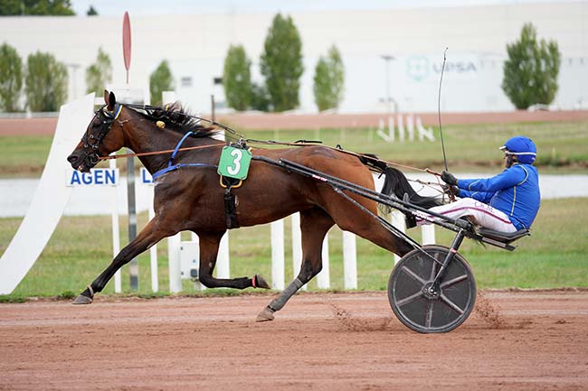 Arrivée quinté pmu GRAND PRIX DE L'AGGLOMERATION D'AGEN à AGEN LE PASSAGE