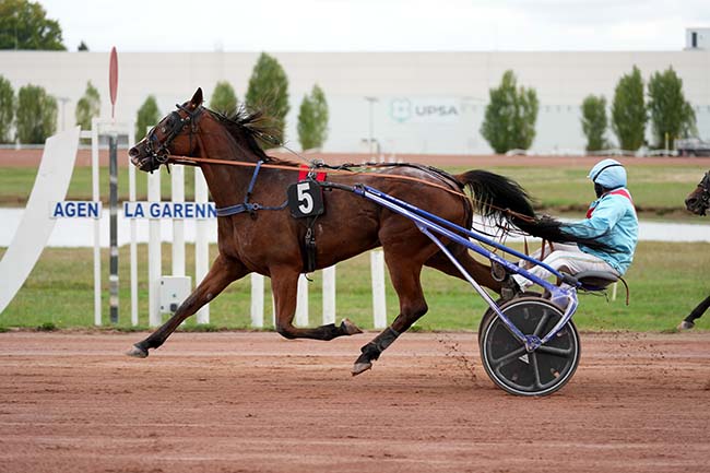 Photo d'arrivée de la course pmu PRIX DU PASSAGE D'AGEN à AGEN LE PASSAGE le Lundi 15 septembre 2025