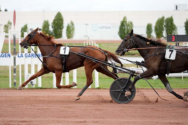 Photo d'arrivée de la course pmu PRIX DU CONSEIL DEPARTEMENTAL 47 à AGEN LE PASSAGE le Lundi 15 septembre 2025
