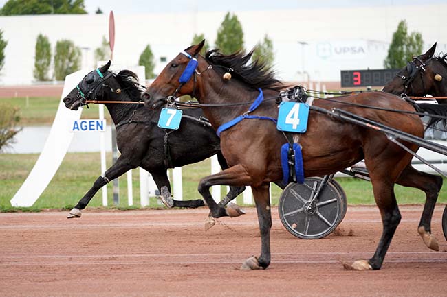 Photo d'arrivée de la course pmu PRIX D'AGEN à AGEN LE PASSAGE le Lundi 15 septembre 2025