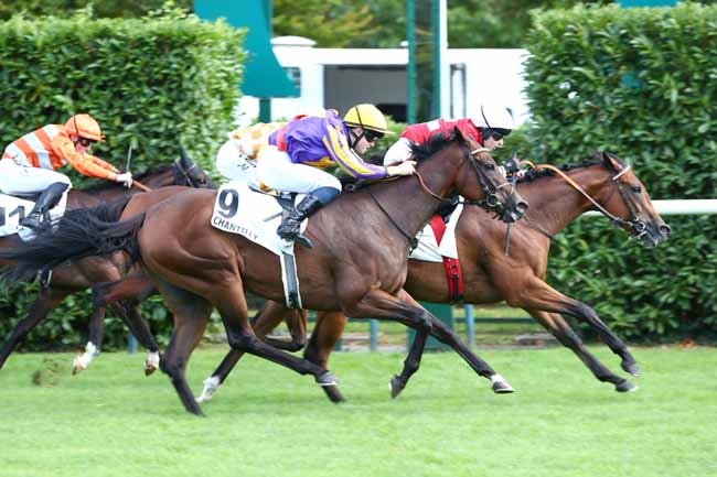 Photo d'arrivée de la course pmu PRIX DE RULLY à CHANTILLY le Lundi 15 septembre 2025