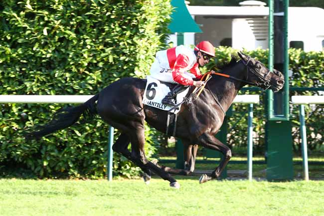 Photo d'arrivée de la course pmu PRIX DE LA CHAPELLE SAINT-PIERRE à CHANTILLY le Lundi 15 septembre 2025