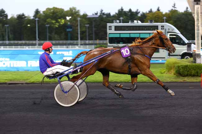 Photo d'arrivée de la course pmu PRIX SAGITTA à PARIS-VINCENNES le Mardi 16 septembre 2025